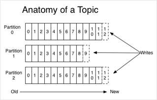 alt Topic anatomy